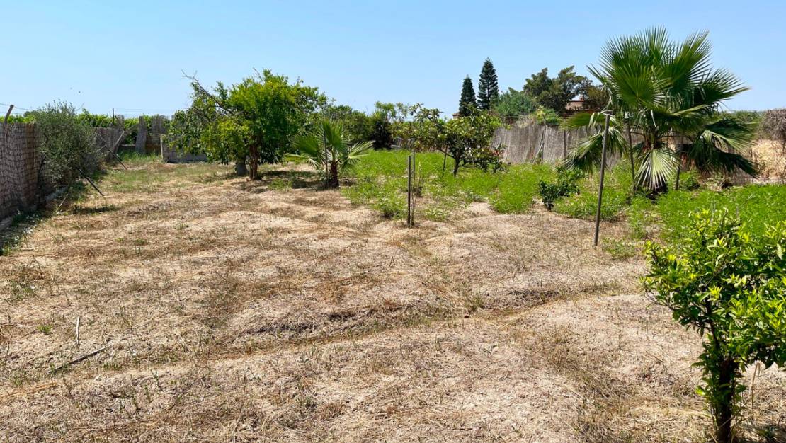 Venta - Chalet - Daya Nueva - Daya Nueva Centro