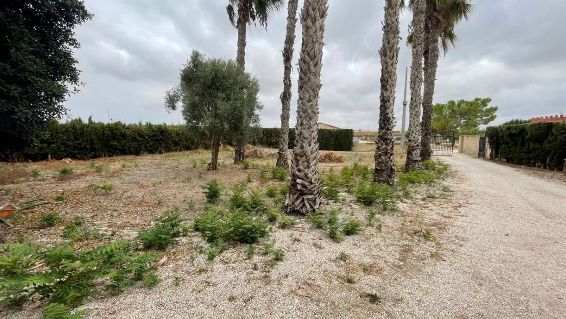 Venta - Chalet - Daya Vieja - Daya Vieja Centro