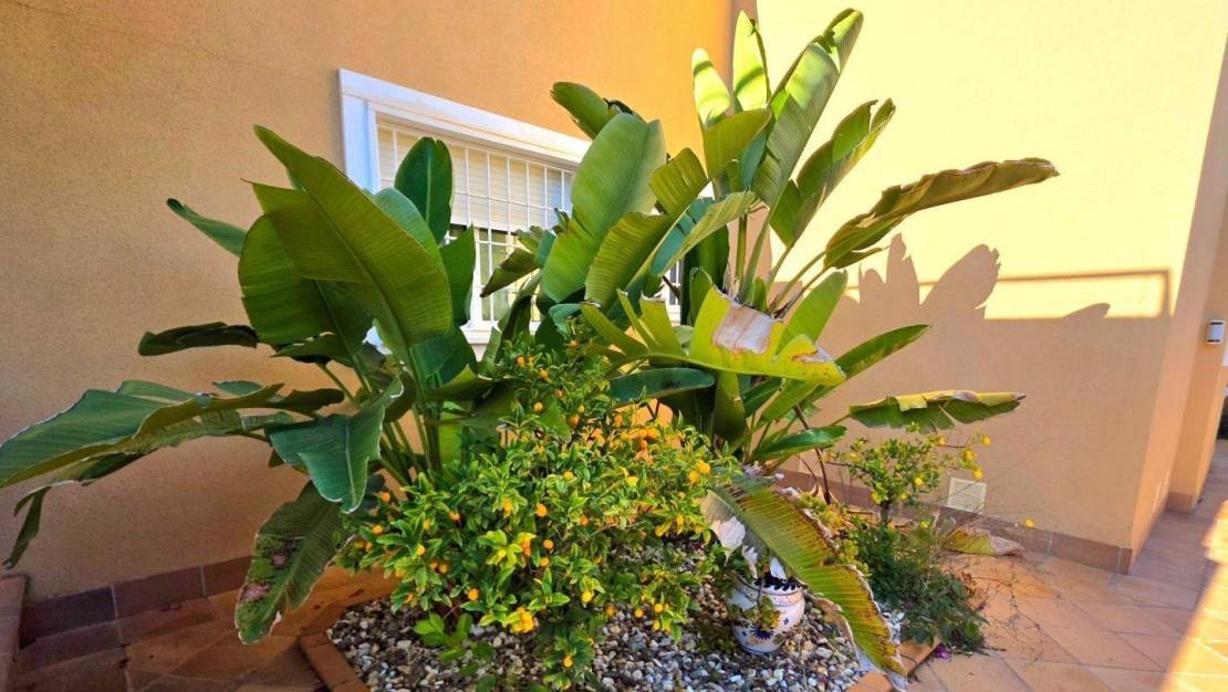 Venta - Chalet - Dehesa de Campoamor - Campoamor