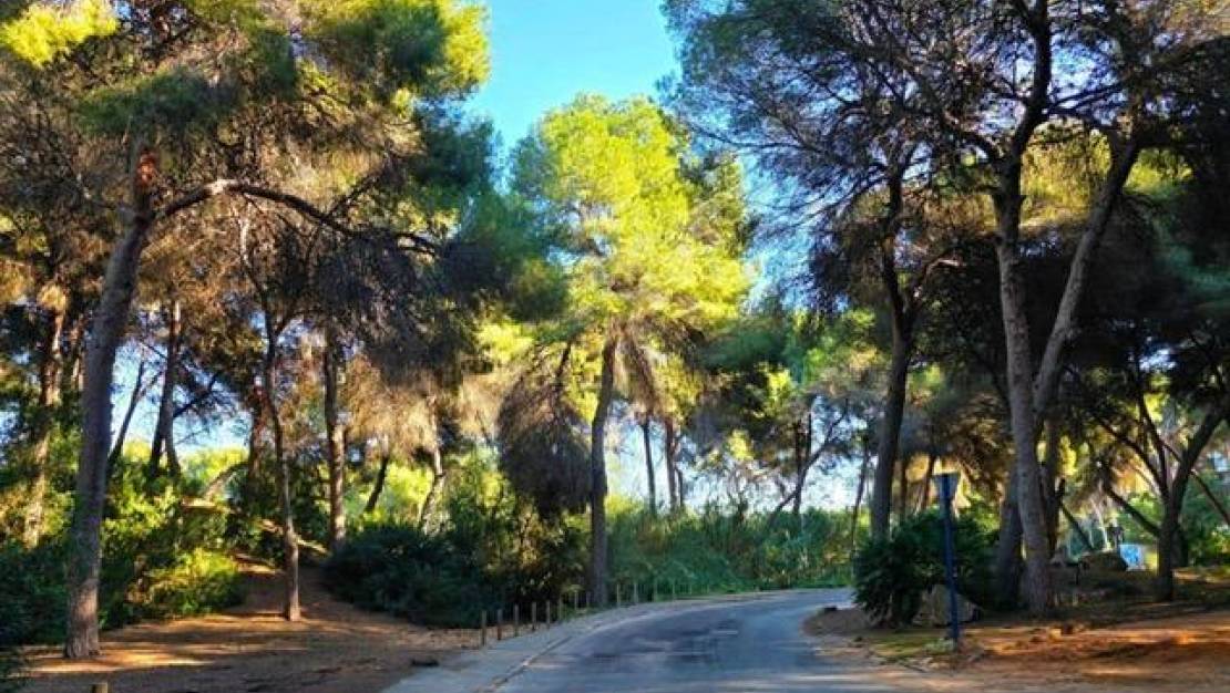 Venta - Chalet - Dehesa de Campoamor - Campoamor