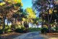 Venta - Chalet - Dehesa de Campoamor - Campoamor