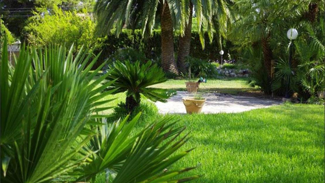 Venta - Chalet - Denia - Denia Centro