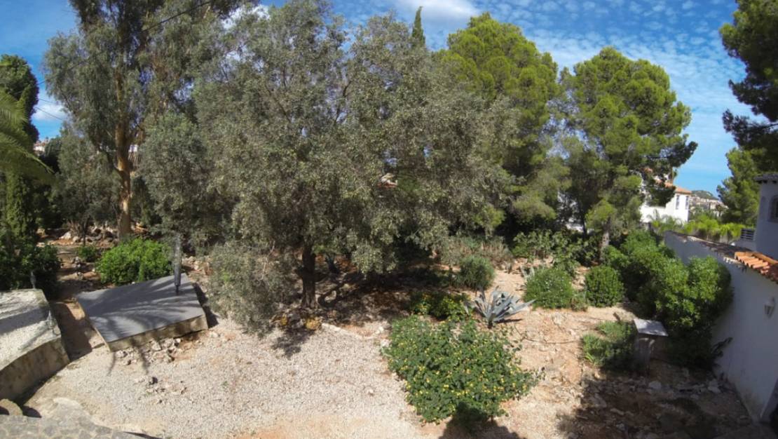 Venta - Chalet - Denia - Denia Centro