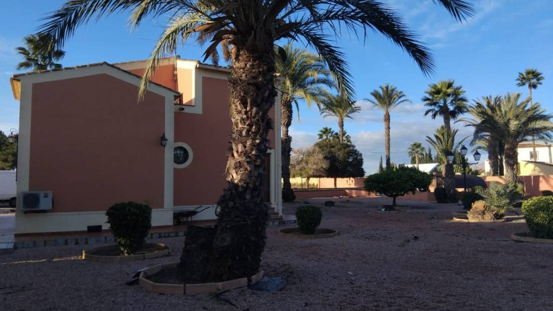 Venta - Chalet - Dolores - Dolores Centro