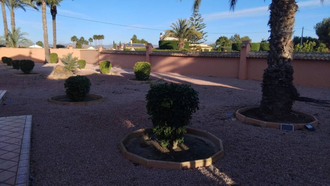 Venta - Chalet - Dolores - Dolores Centro