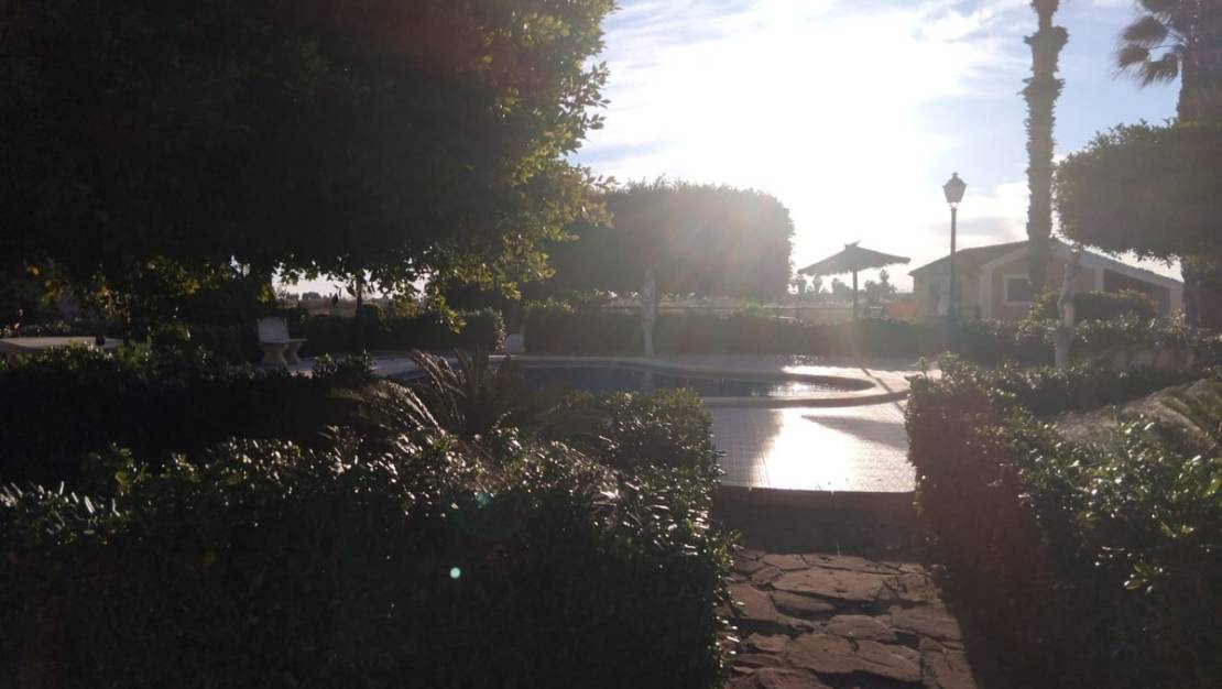 Venta - Chalet - Dolores - Dolores Centro