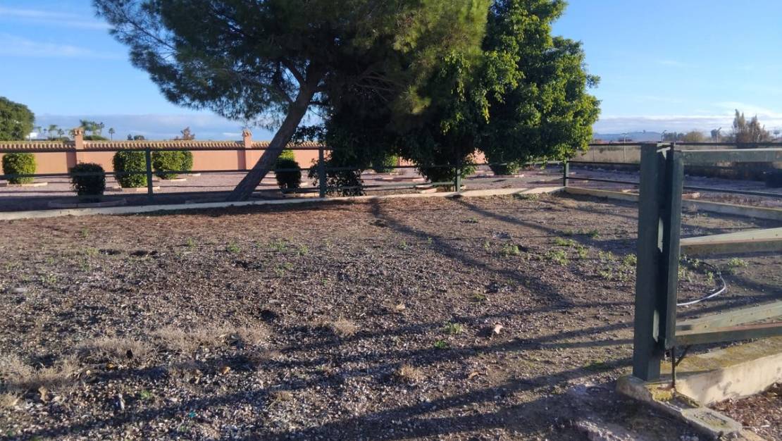 Venta - Chalet - Dolores - Dolores Centro