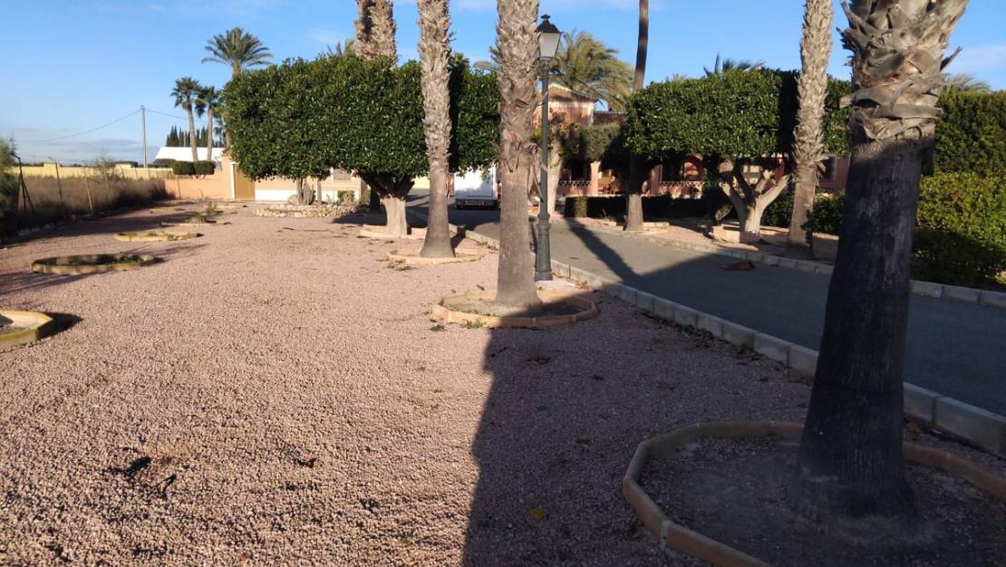 Venta - Chalet - Dolores - Dolores Centro