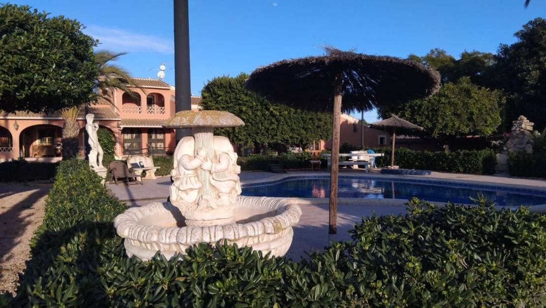 Venta - Chalet - Dolores - Dolores Centro