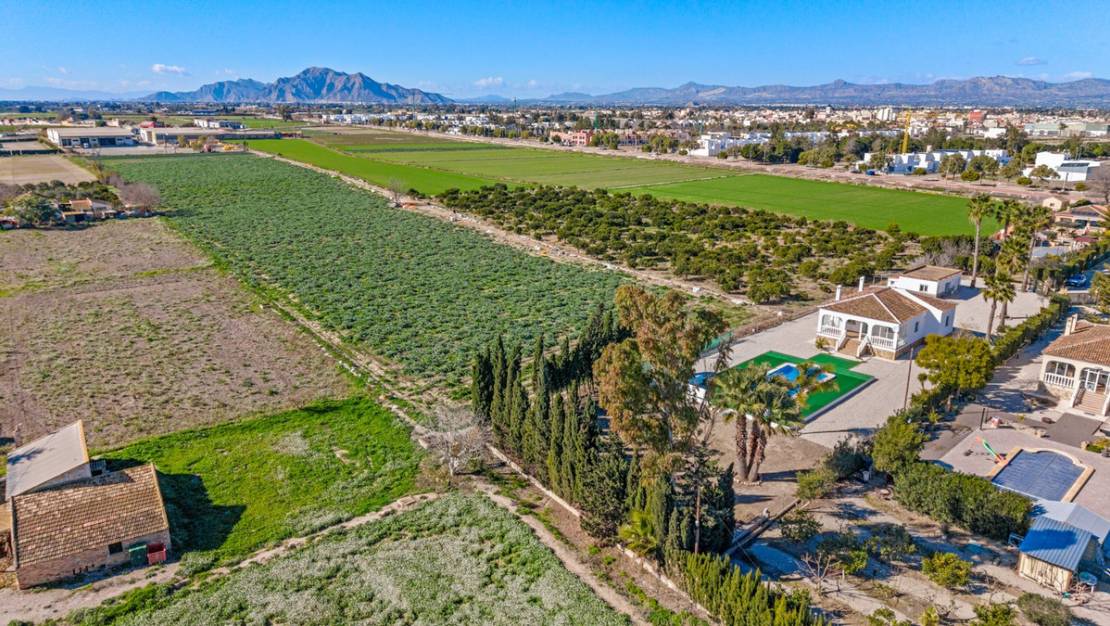 Venta - Chalet - Dolores - Dolores Centro