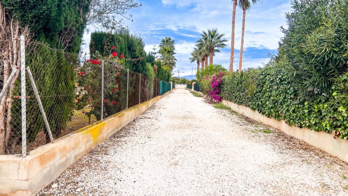 Venta - Chalet - Dolores - Dolores Centro