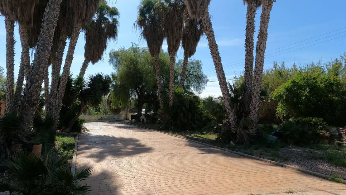 Venta - Chalet - Dolores - Dolores Centro