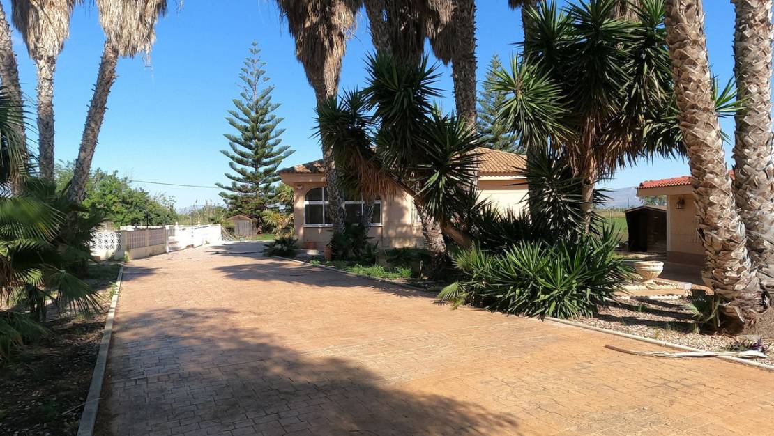 Venta - Chalet - Dolores - Dolores Centro