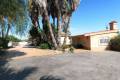 Venta - Chalet - Dolores - Dolores Centro