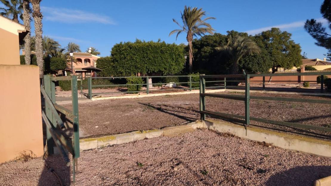 Venta - Chalet - Dolores - Dolores Centro