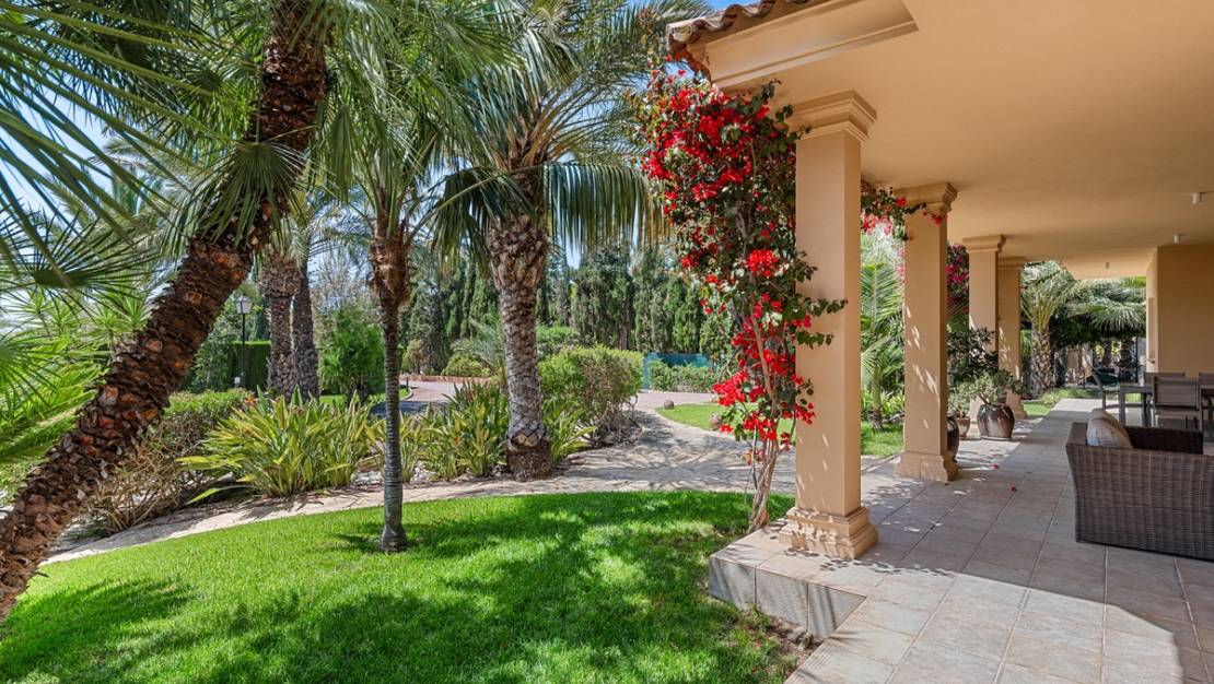 Venta - Chalet - Elche - Elche Centro