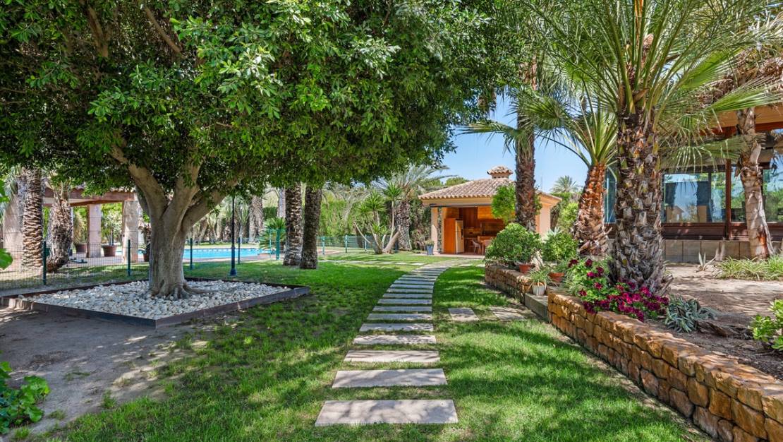 Venta - Chalet - Elche - Elche Centro