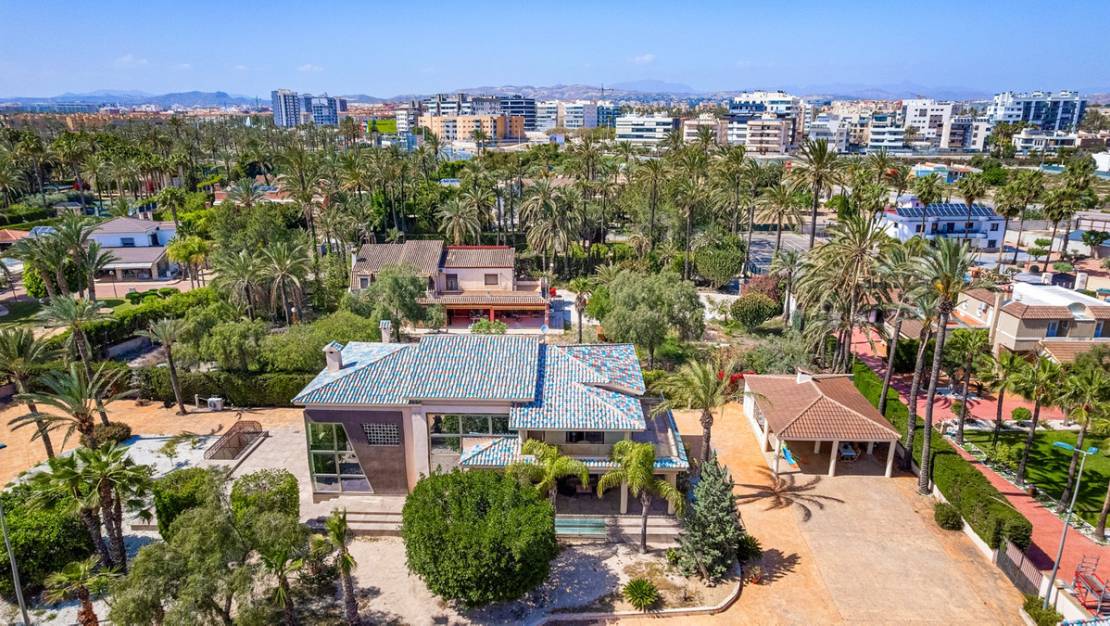 Venta - Chalet - Elche - Elche Centro