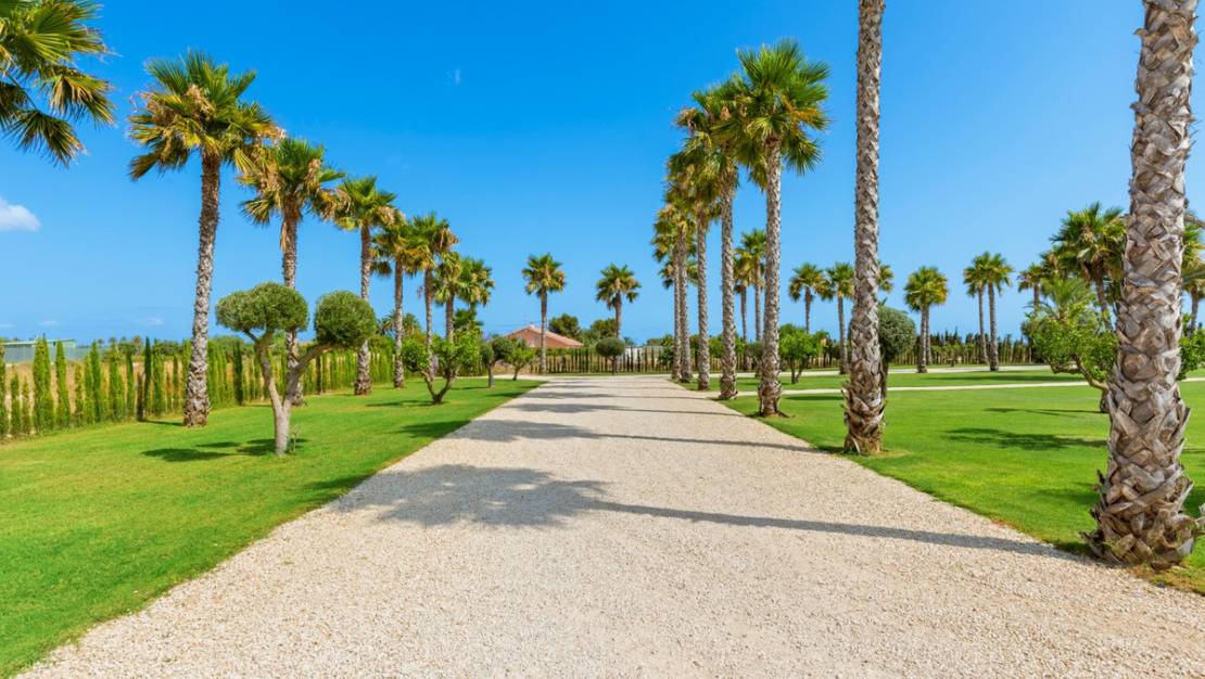 Venta - Chalet - Elche - Elche Centro