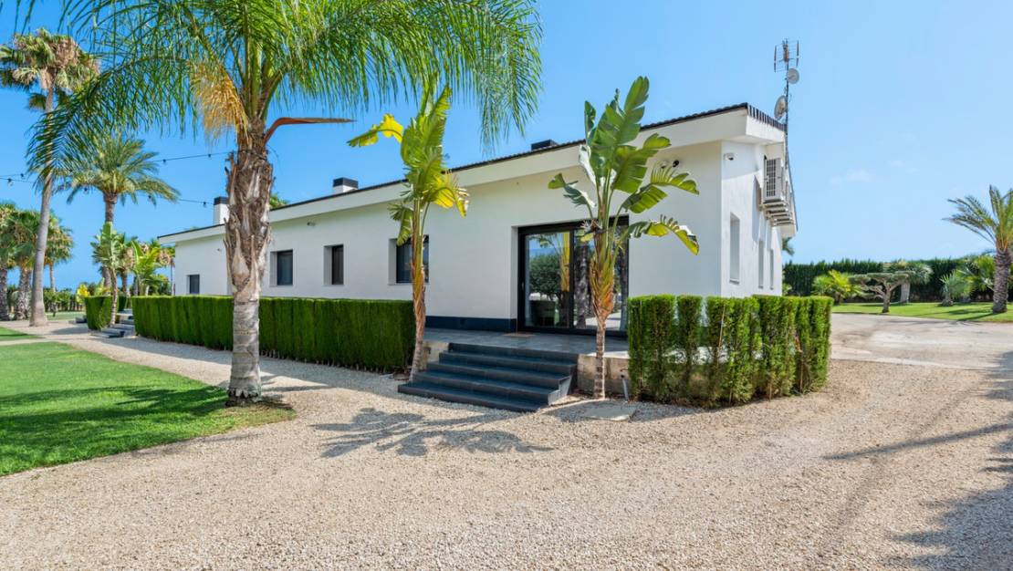 Venta - Chalet - Elche - Elche Centro