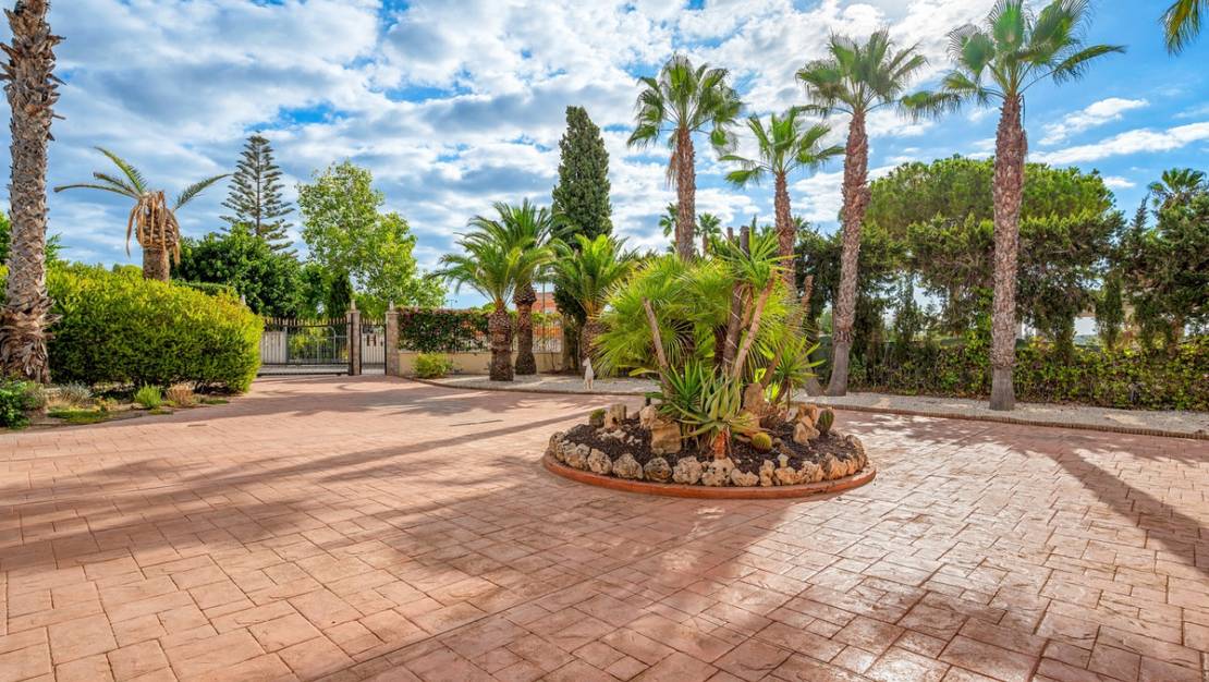 Venta - Chalet - Elche - Elche Centro