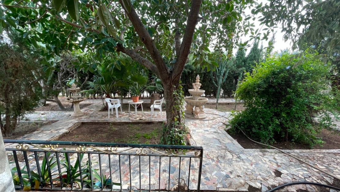 Venta - Chalet - Elche - Elche Centro