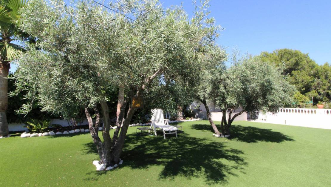 Venta - Chalet - Elche - Elche Centro