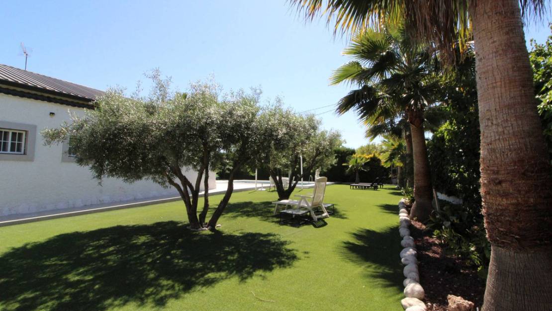 Venta - Chalet - Elche - Elche Centro