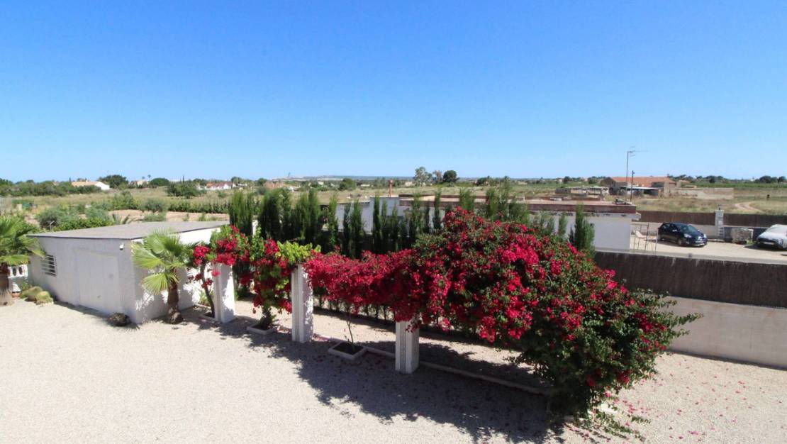 Venta - Chalet - Elche - Elche Centro