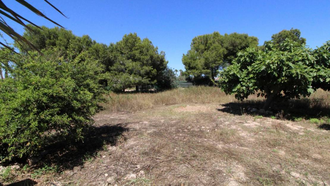 Venta - Chalet - Elche - Elche Centro