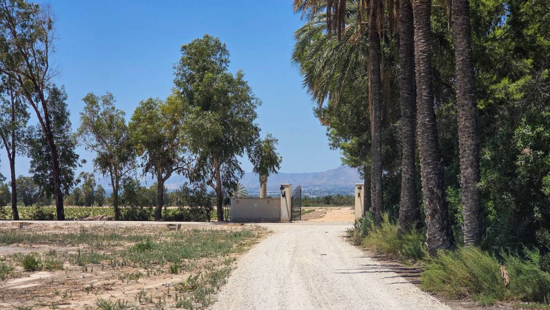 Venta - Chalet - Elche - Elche Centro
