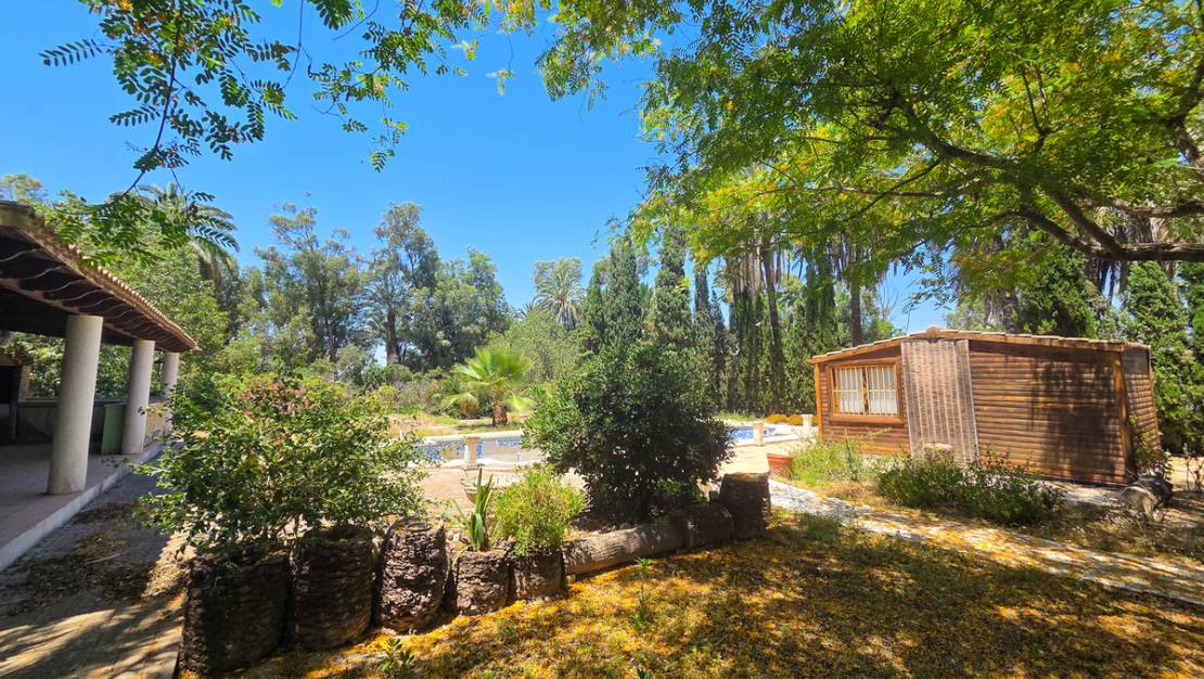 Venta - Chalet - Elche - Elche Centro