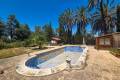 Venta - Chalet - Elche - Elche Centro