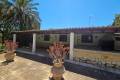 Venta - Chalet - Elche - Elche Centro