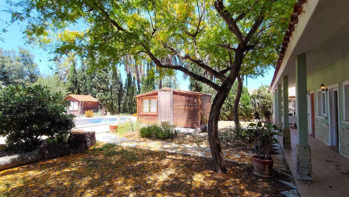 Venta - Chalet - Elche - Elche Centro