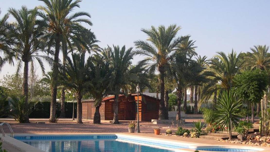 Venta - Chalet - Elche - Elche Centro