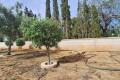 Venta - Chalet - Elche - Elche Centro