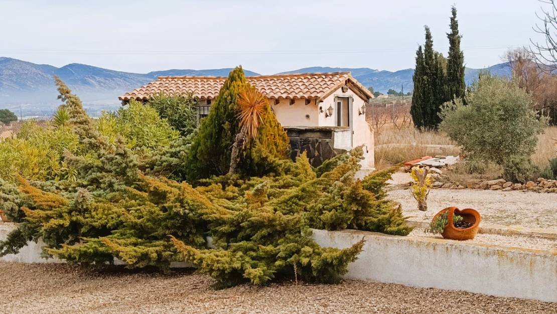 Venta - Chalet - Elda - Elda Centro