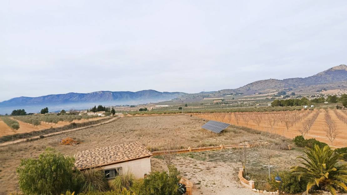 Venta - Chalet - Elda - Elda Centro