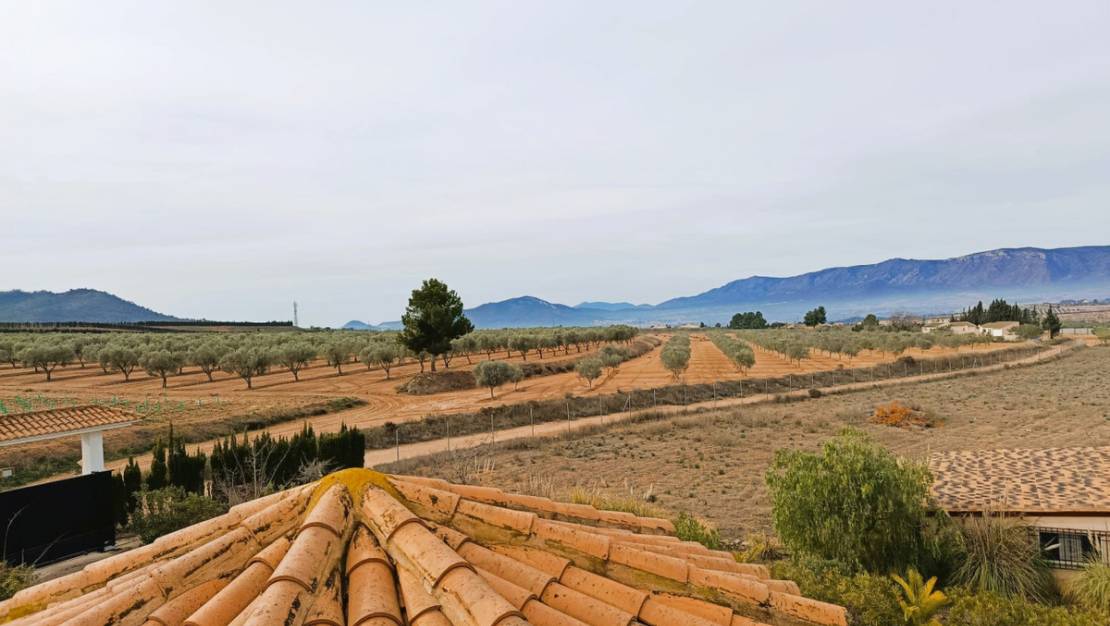 Venta - Chalet - Elda - Elda Centro