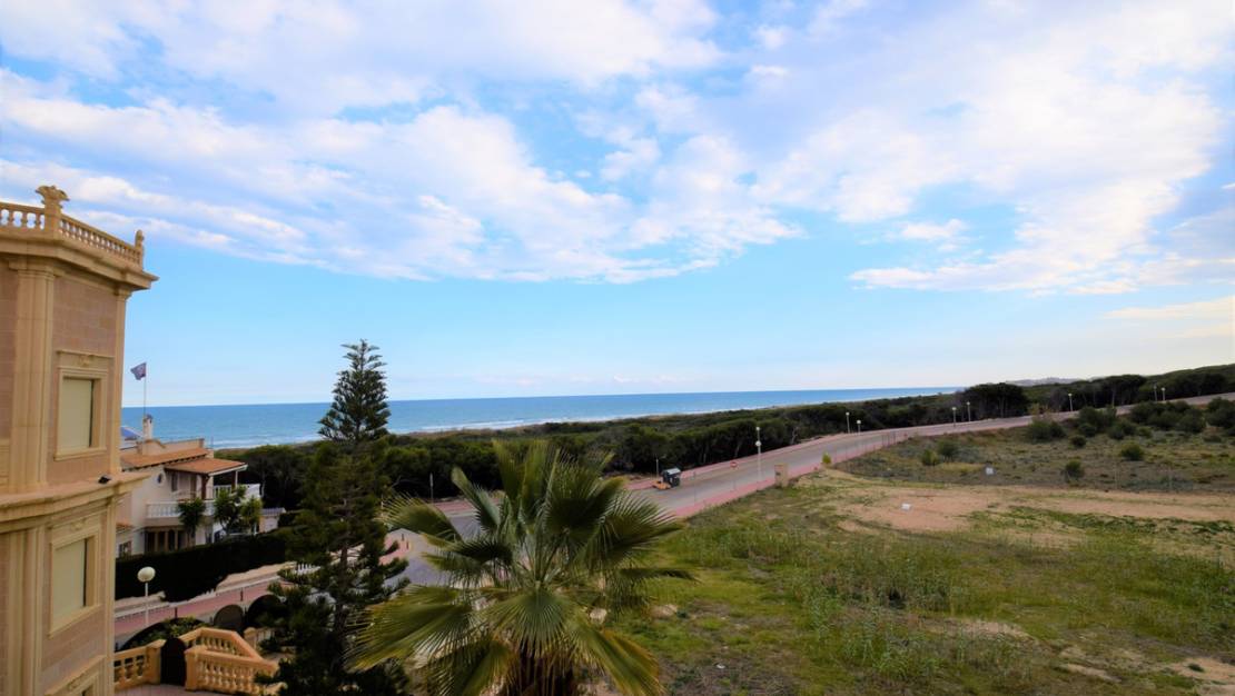 Venta - Chalet - Guardamar del Segura - Guardamar del Segura Centro