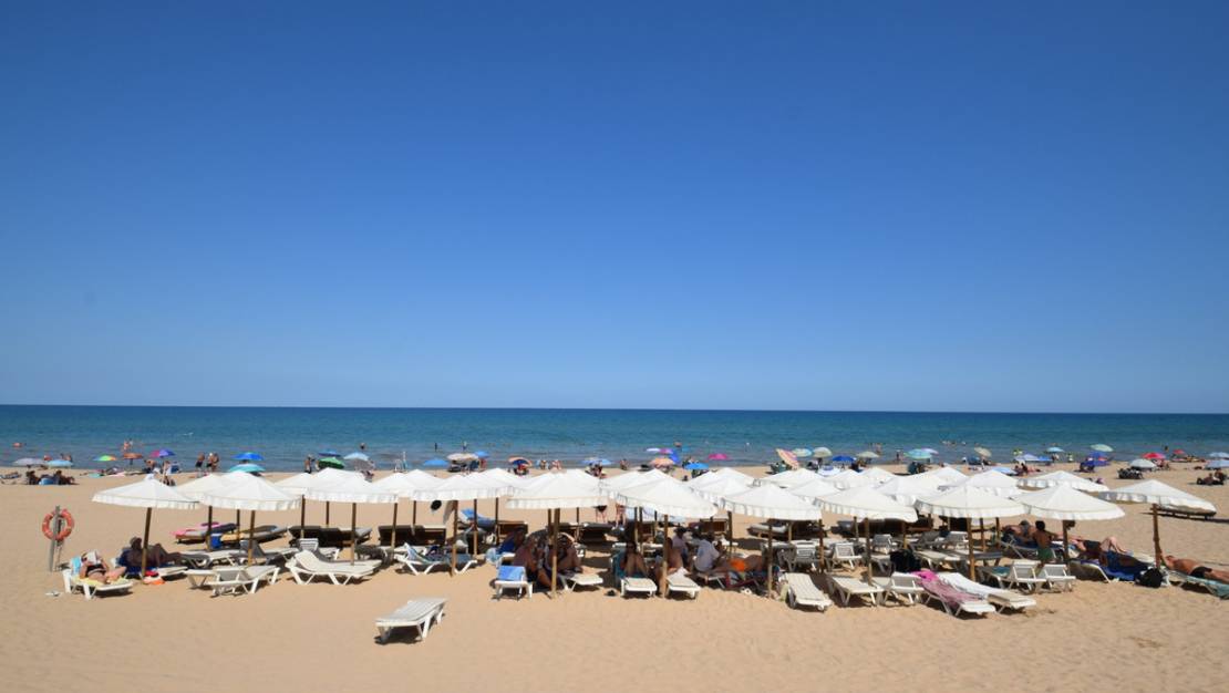 Venta - Chalet - Guardamar del Segura - Guardamar del Segura Centro