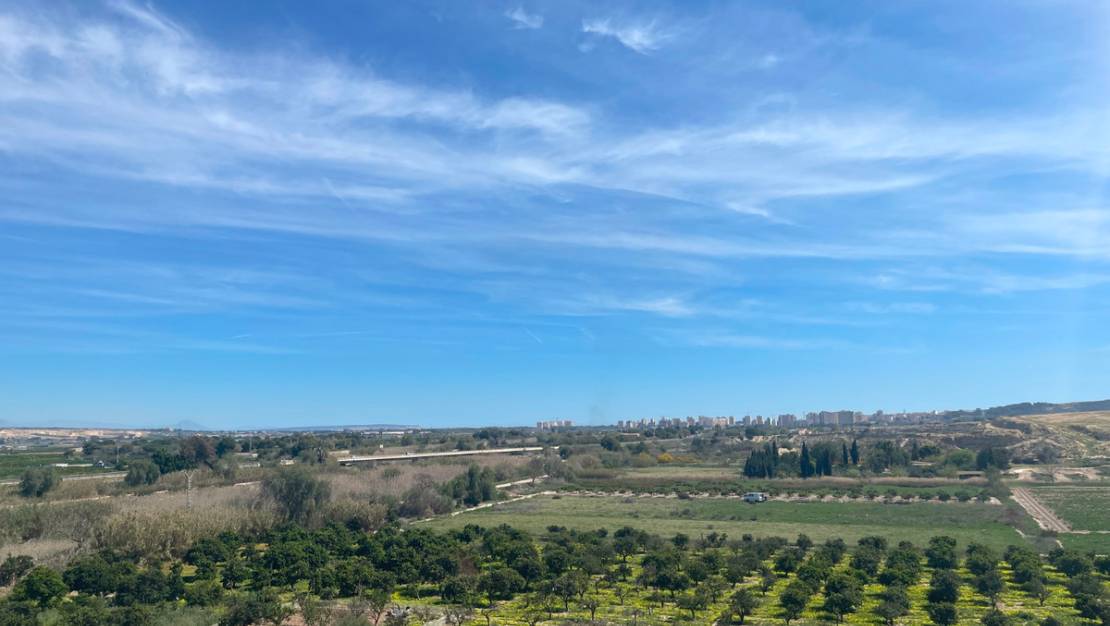 Venta - Chalet - Guardamar del Segura - Guardamar del Segura Centro