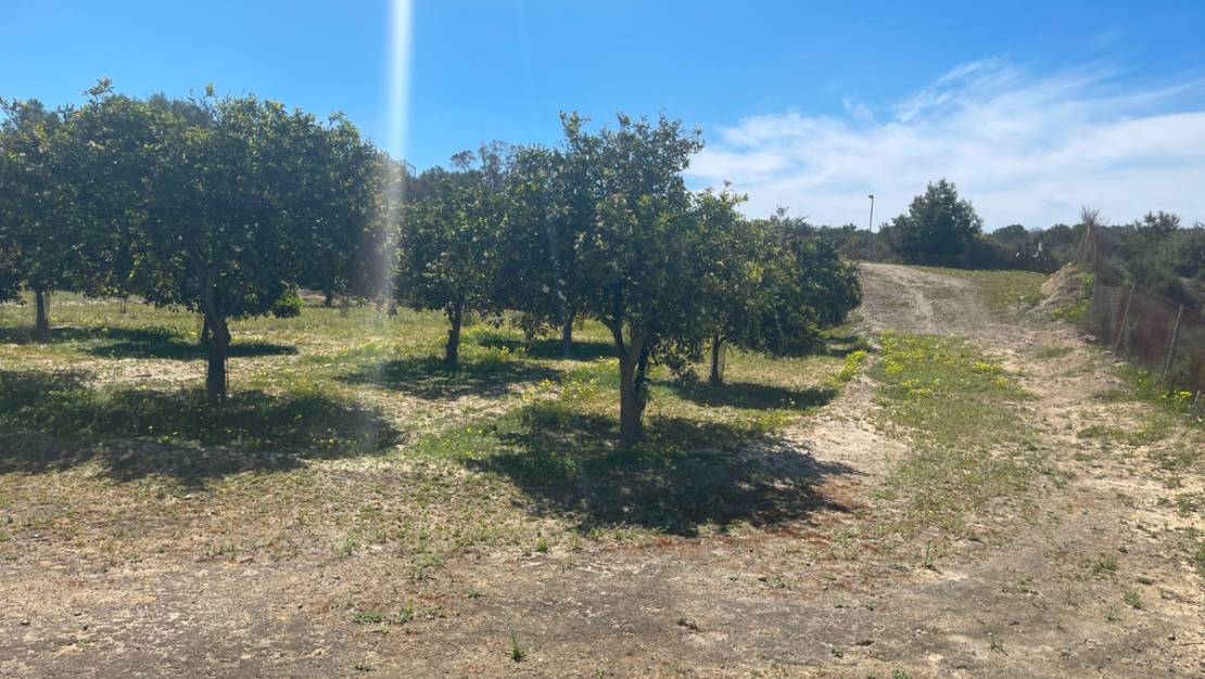 Venta - Chalet - Guardamar del Segura - Guardamar del Segura Centro