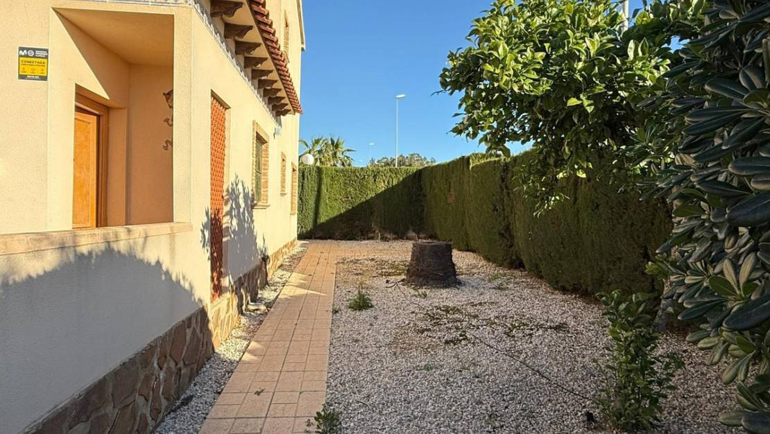 Venta - Chalet - Guardamar del Segura - Guardamar del Segura Centro
