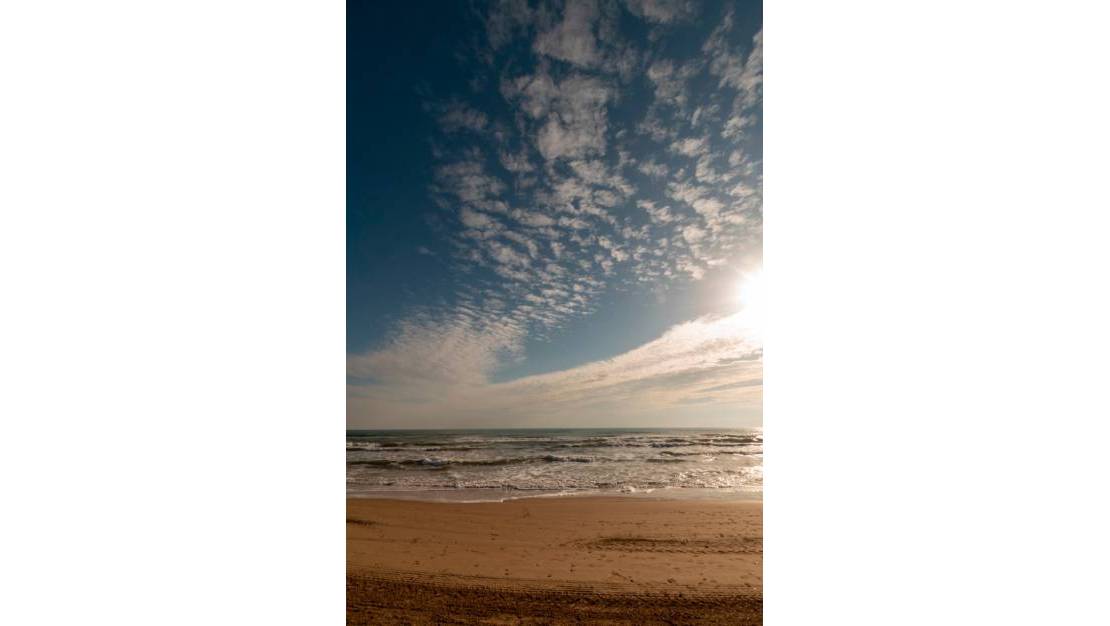 Venta - Chalet - Guardamar del Segura - Guardamar del Segura Centro