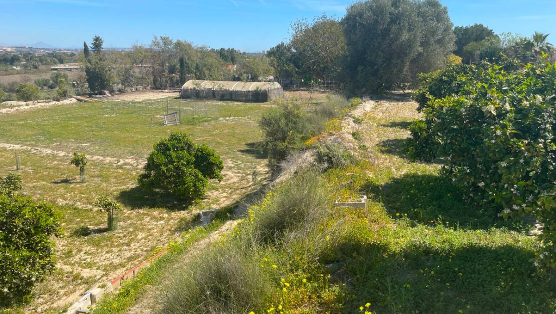 Venta - Chalet - Guardamar del Segura - Guardamar del Segura Centro