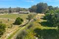 Venta - Chalet - Guardamar del Segura - Guardamar del Segura Centro