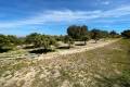 Venta - Chalet - Guardamar del Segura - Guardamar del Segura Centro