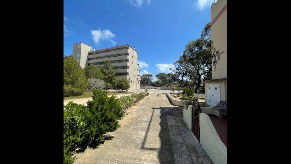 Venta - Chalet - Guardamar del Segura - Guardamar del Segura Centro